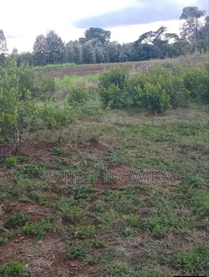 2 Acres Nanyuki Daiga
