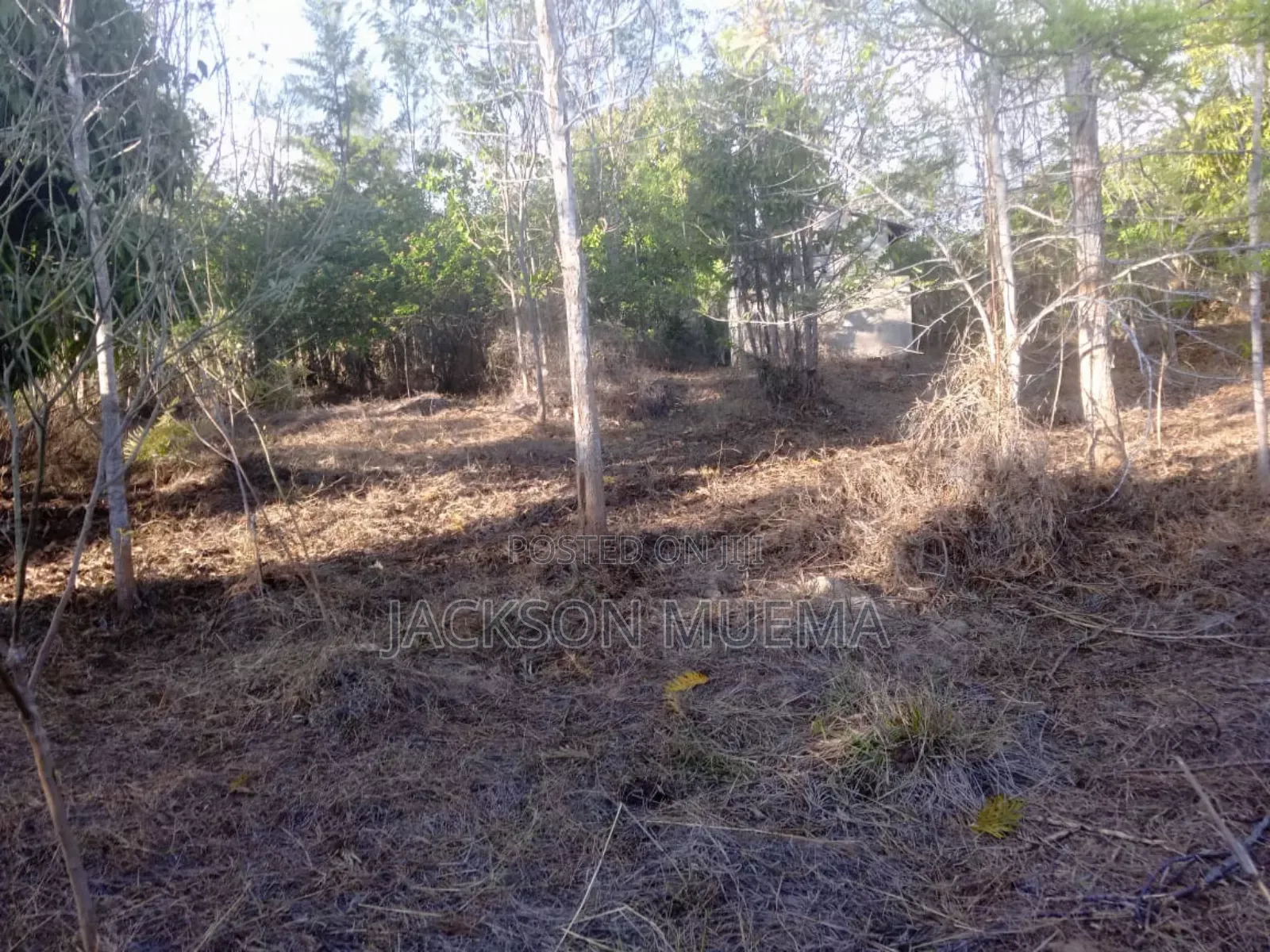 Prime 2 Acres for Sale