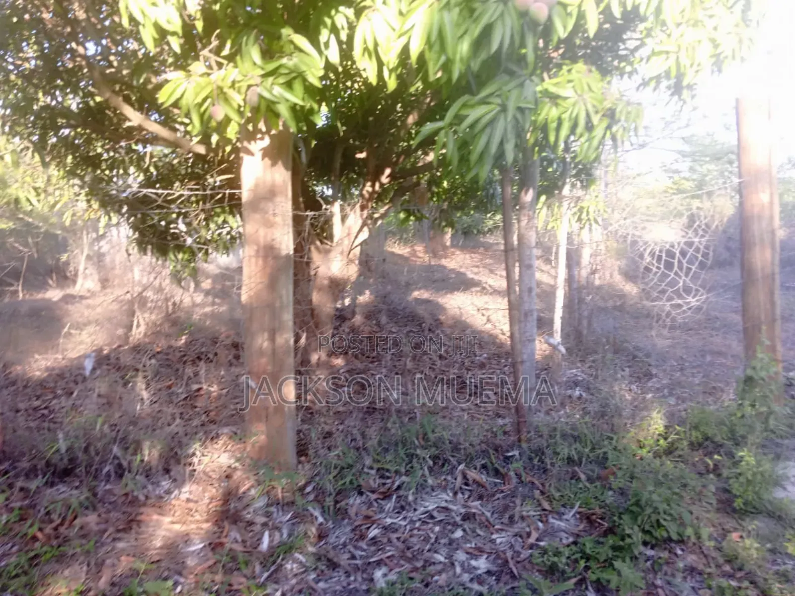 Prime 2 Acres for Sale