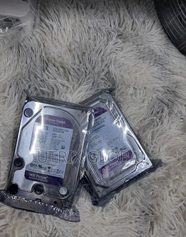 2tb Wd Surveillance Hard Disk for Long Hour Recording