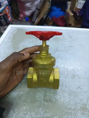3/4" Pex Gate Valve
