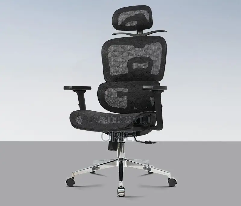 Office Chair : Office High-Back Orthopedic Mesh Chair