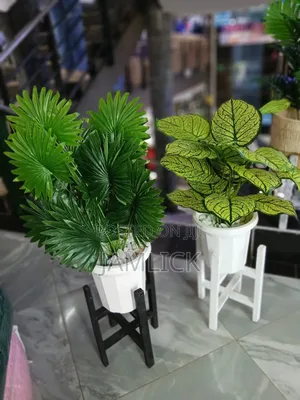 Artificial Plants With Wooden Stand –Gw