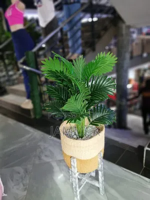 Artificial Plants With Chondo + Stand - Gw