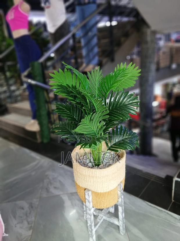 Artificial Plants With Chondo + Stand - Gw - main view