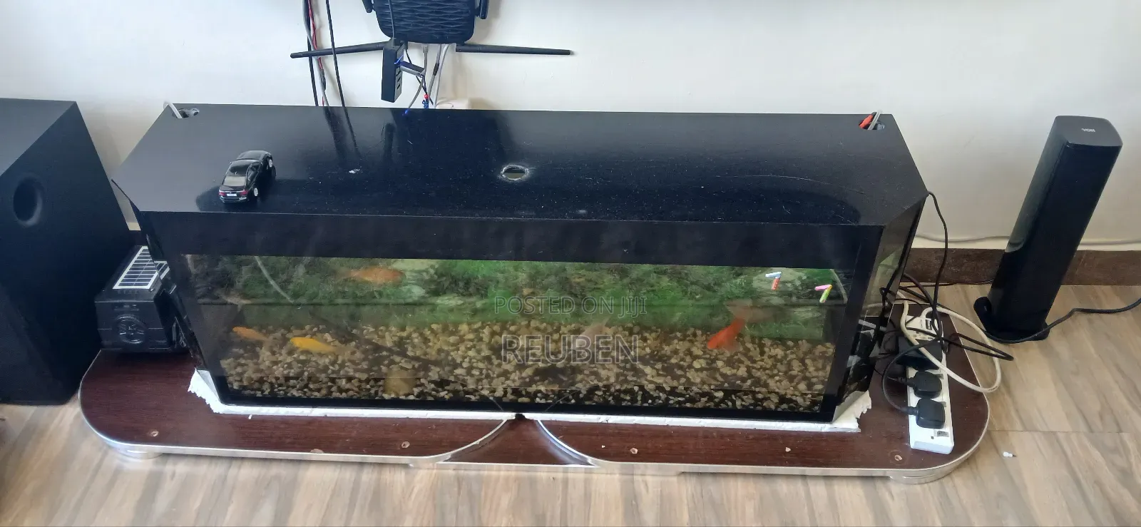 100 Litres Aquarium With Fish For Sale-selling Because Im Relocating F
