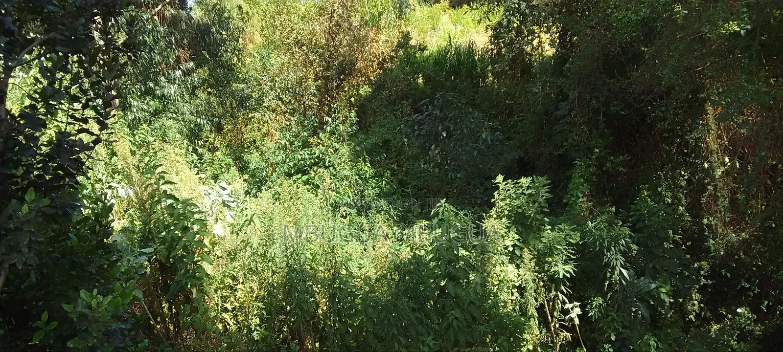 Half Acre in Kinūngi (Nyamathi Centre)