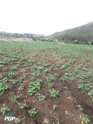 Land in Gilgil