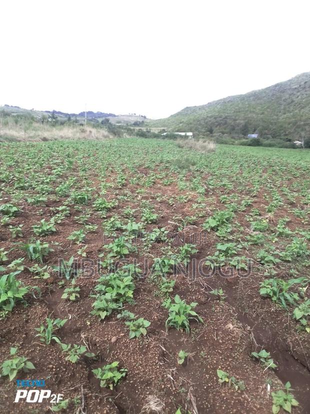 Land in Gilgil - main view