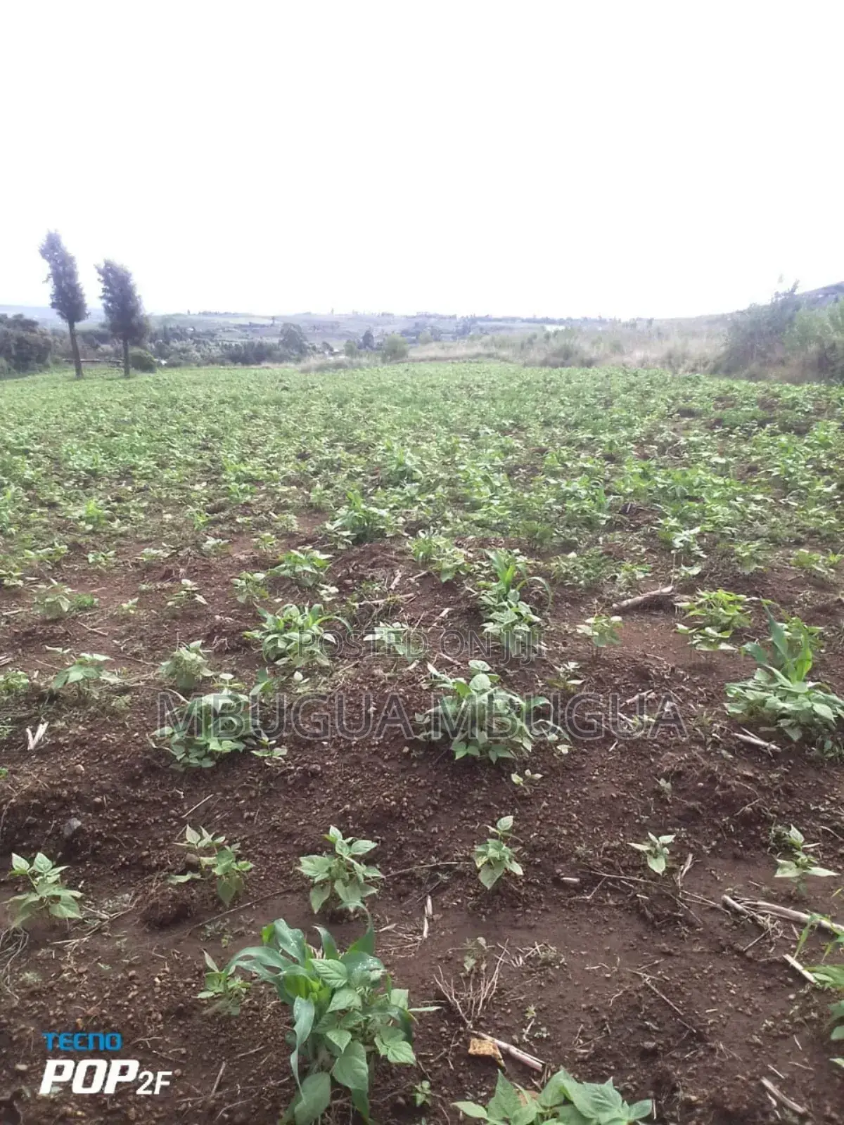 Land in Gilgil