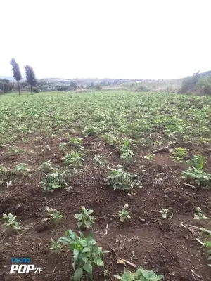 Land in Gilgil