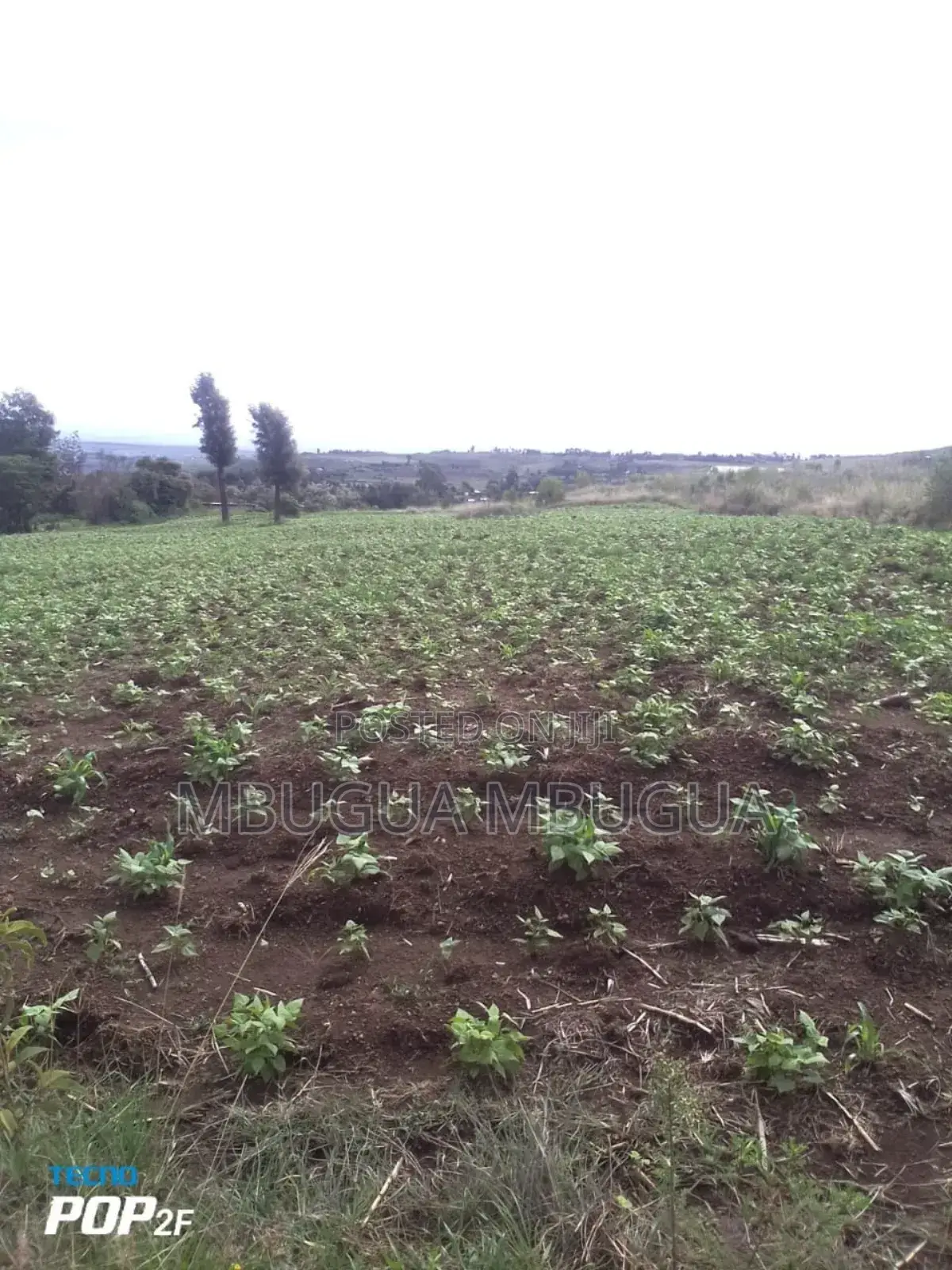 Land in Gilgil