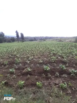 Land in Gilgil