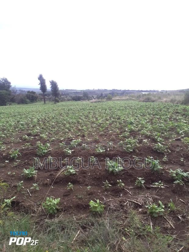 Land in Gilgil - thumbnail 3