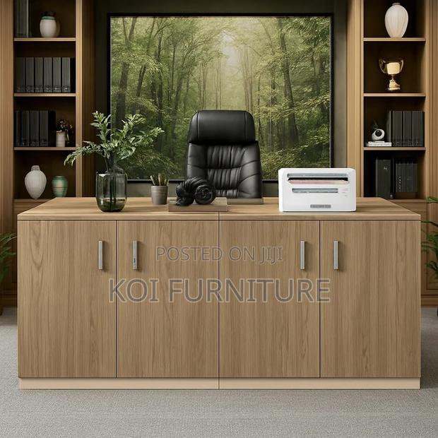 Office Cabinet; Modern Organization Wooden Credenza Cabinet
