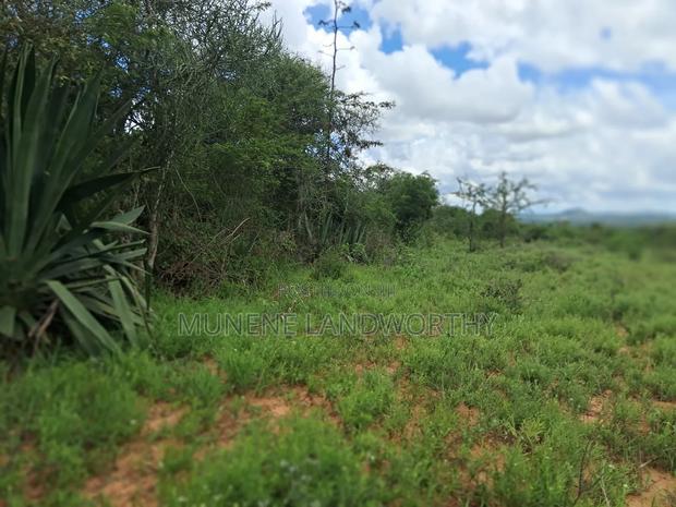 Machakos County,Kangonde 2 Acres - thumbnail 7