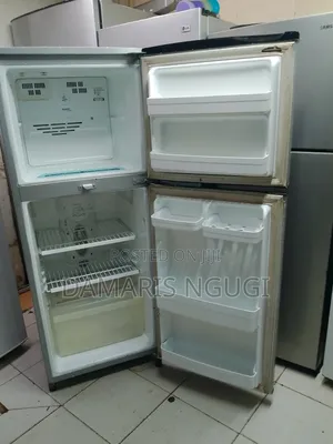 Double Door Fridge (Lg)