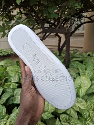 Calvin Klein White, Ck White Casuals