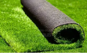 Carpet Grass
