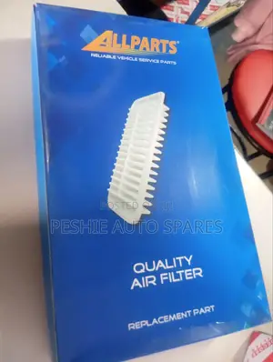 Air Filter 7l/9l