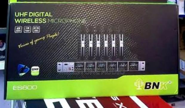 BNK Es 600 Wireless Mic