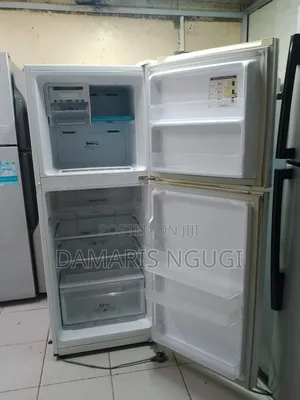 Double Door Fridge (Samsung)