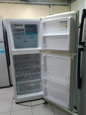 Double Door Fridge (Samsung)