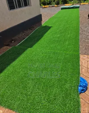 Carpet Grass