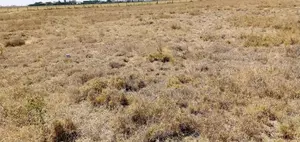 Plot for Sale in Kisaju, Kajiado County