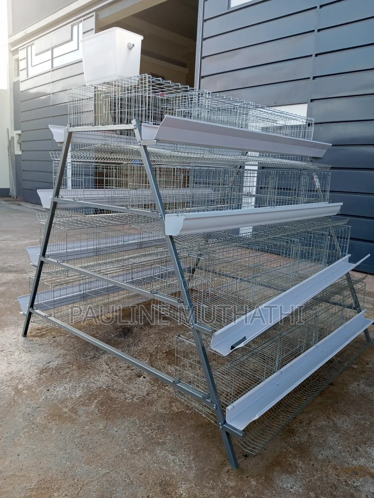 Layers Chicken Cages