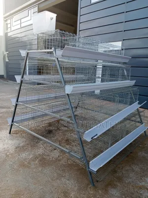 Layers Chicken Cages