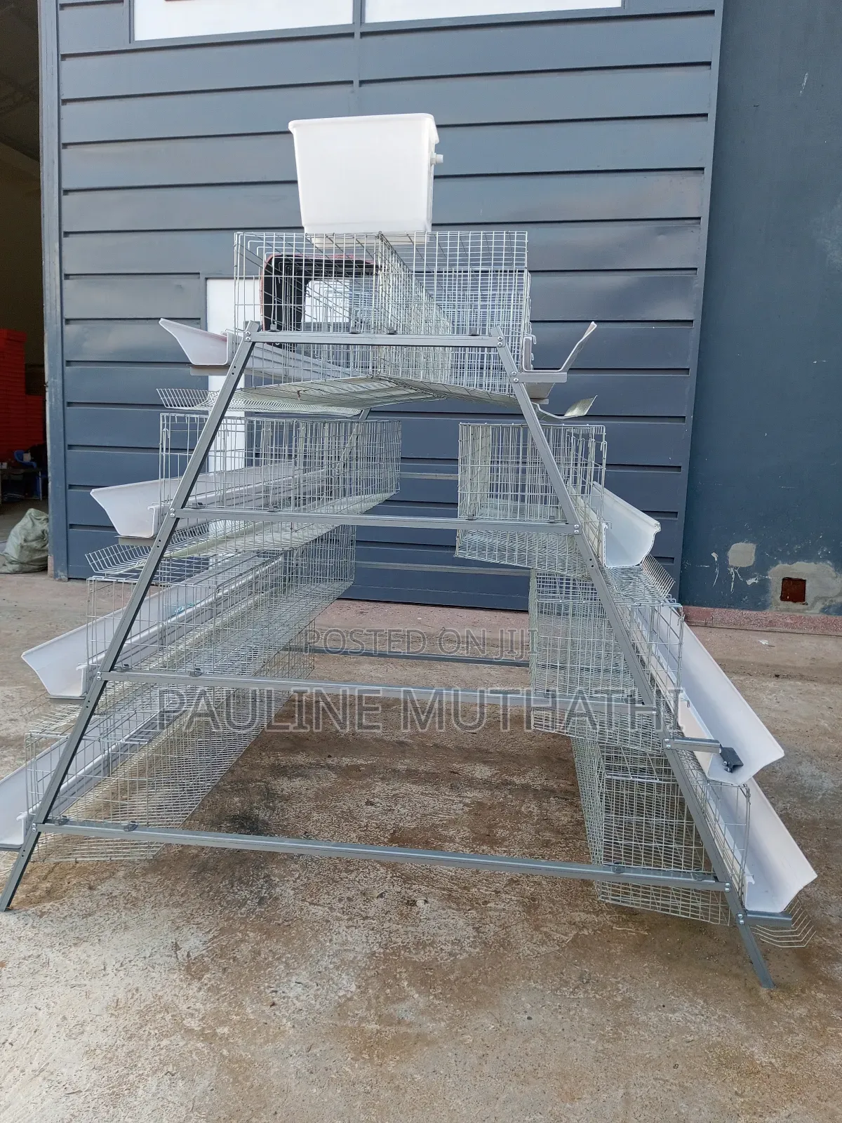 Layers Chicken Cages