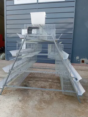 Layers Chicken Cages