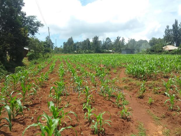 Two Ares in Kisumu Kapuonja for Sale - thumbnail 6