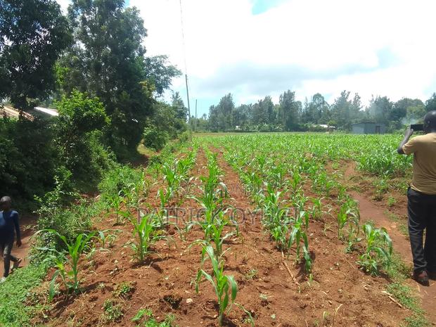 Two Ares in Kisumu Kapuonja for Sale - thumbnail 11