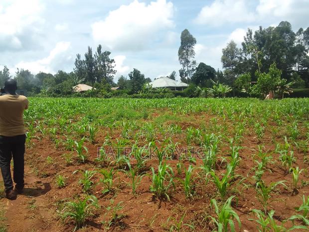 Two Ares in Kisumu Kapuonja for Sale - thumbnail 13