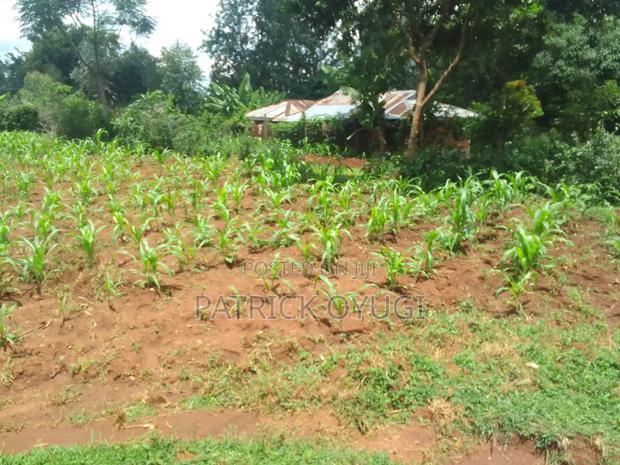 Two Ares in Kisumu Kapuonja for Sale - thumbnail 15