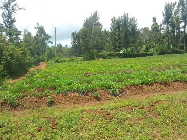 Two Ares in Kisumu Kapuonja for Sale - thumbnail 16