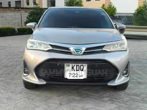 Toyota Axio 2016 Gray