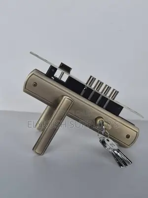 Black Steel Door Locks