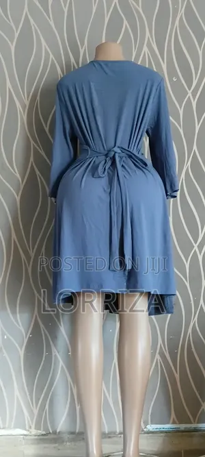 Plain Blue Long-Sleeve Dresse
