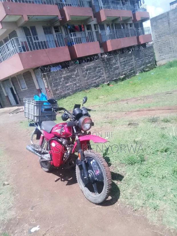 Captain CP175 2020 Red - thumbnail 4