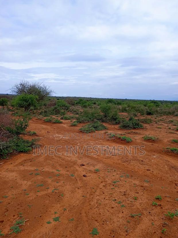 Taveta -Tsavo West Land - main view