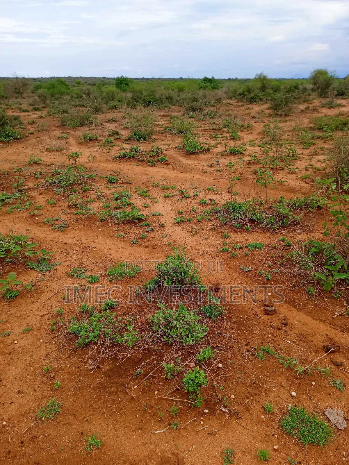 Taveta -Tsavo West Land