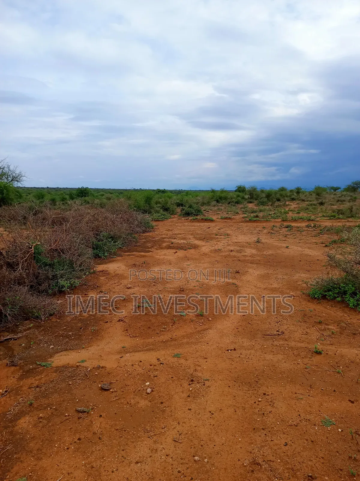 Taveta -Tsavo West Land