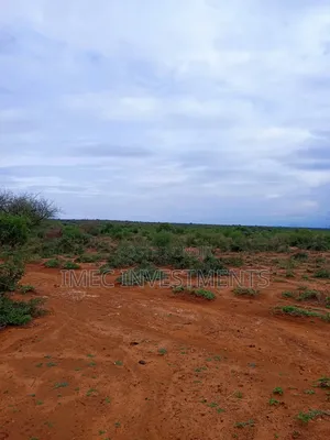 Taveta -Tsavo West Land