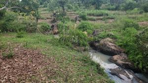 1.5 Acre Ithanga - thumbnail 2