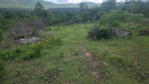 1.5 Acre Ithanga