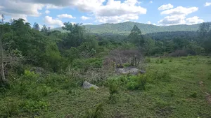 1.5 Acre Ithanga
