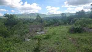 1.5 Acre Ithanga